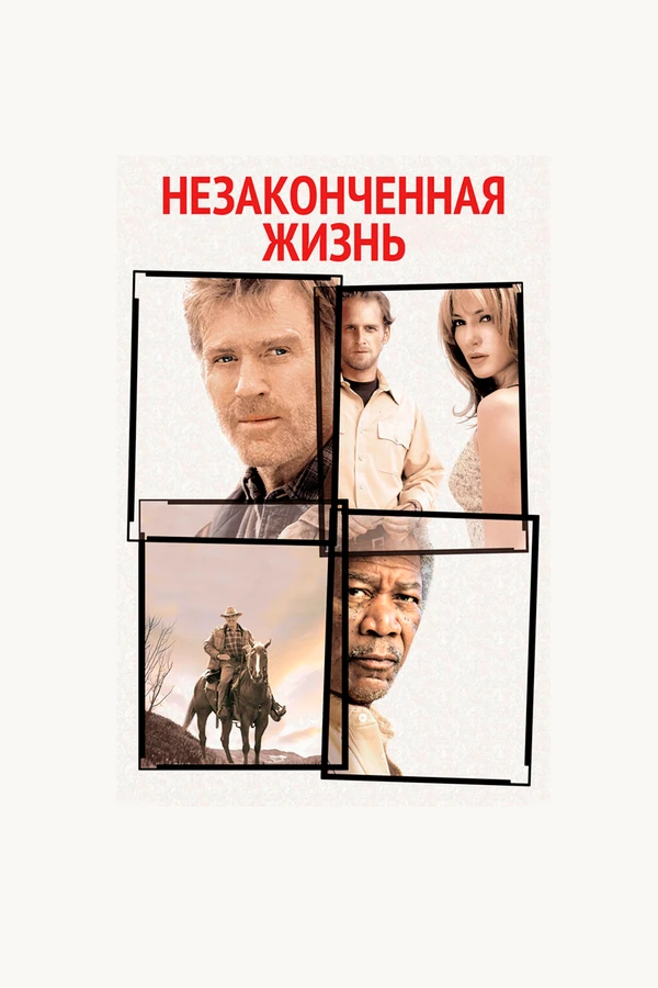 Незаконченная жизнь 2004 постер
