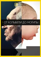 Постер От колыбели до могилы 2016