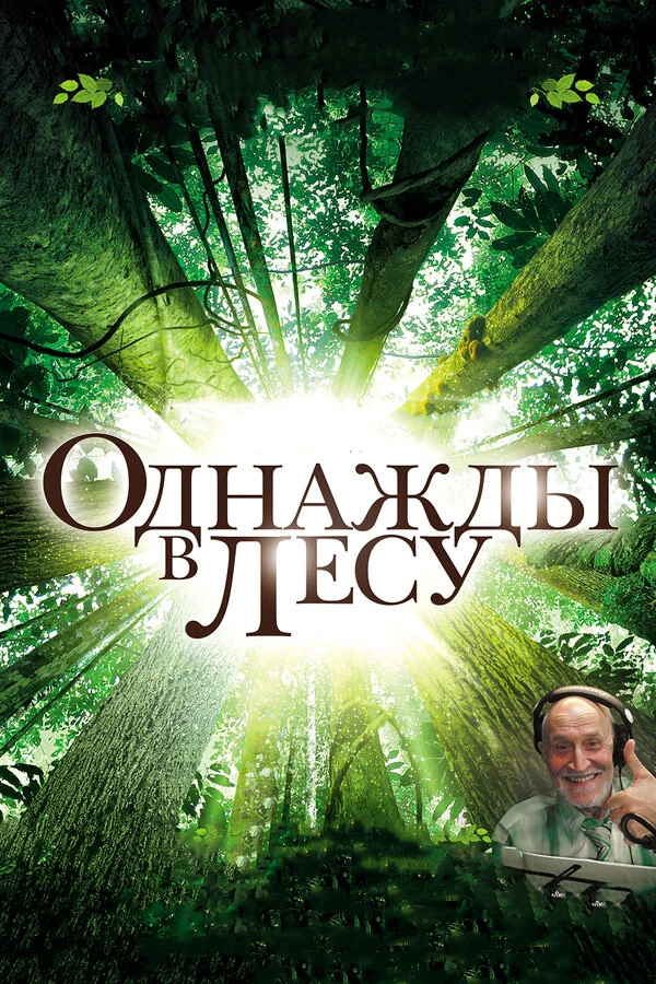 Однажды в лесу 2013 постер