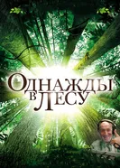 Постер Однажды в лесу 2013
