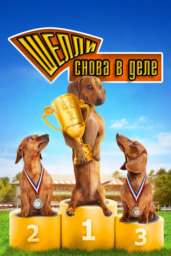 Шелли снова в деле: Часть 1 2013 постер