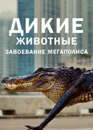 Постер Дикие животные: Завоевание мегаполиса 2018
