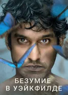 Постер Безумие в Уэйкфилде 2021
