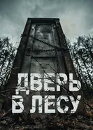 Постер Дверь в лесу 2019