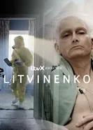 Постер Литвиненко 2022