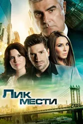Постер Лик мести 2012