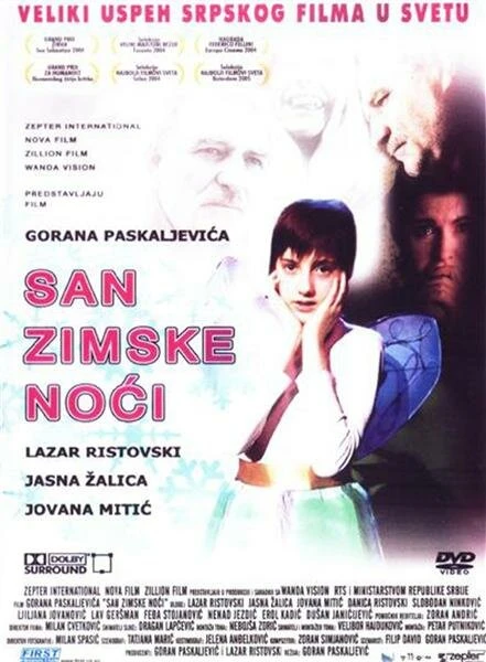 Сон в зимнюю ночь 2004 постер