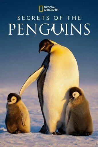 Secrets of the Penguins постер