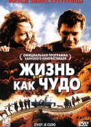 Постер Жизнь как чудо 2004