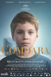 Постер Сокровище