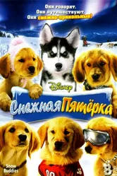 Постер Снежная пятерка 2008