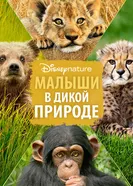 Постер Малыши в дикой природе