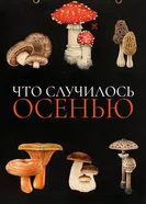 Постер Что случилось осенью 2024