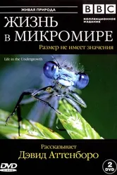 Постер BBC: Жизнь в микромире 2005