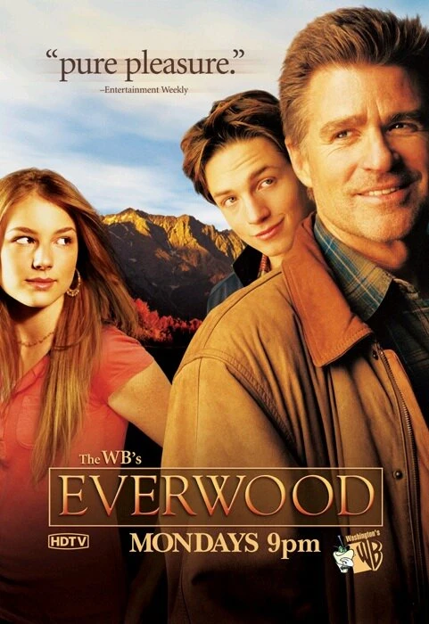 Любовь вдовца 2002 постер