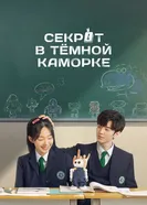 Постер Секрет в тёмной каморке 2021