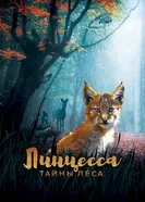 Постер Линцесса. Тайны леса 2023