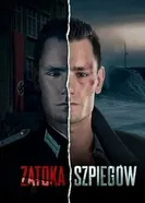 Постер Шпионский залив 2024