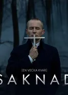 Постер Пропавшая 2017