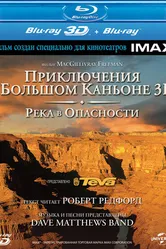 Постер Приключение в Большом каньоне 3D: Река в опасности 2008