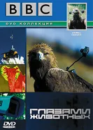 Постер BBC: Глазами животных 2004