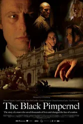 Постер Черная гвоздика 2007