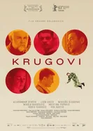 Постер Круги 2013