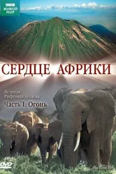 Постер BBC: Сердце Африки 2010