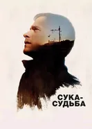 Постер Сука-судьба 2016