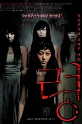 Постер Привидение 2004