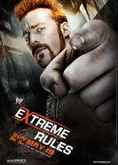 Постер WWE Экстремальные правила 2013
