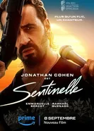 Постер Sentinelle