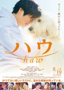 Постер Haw