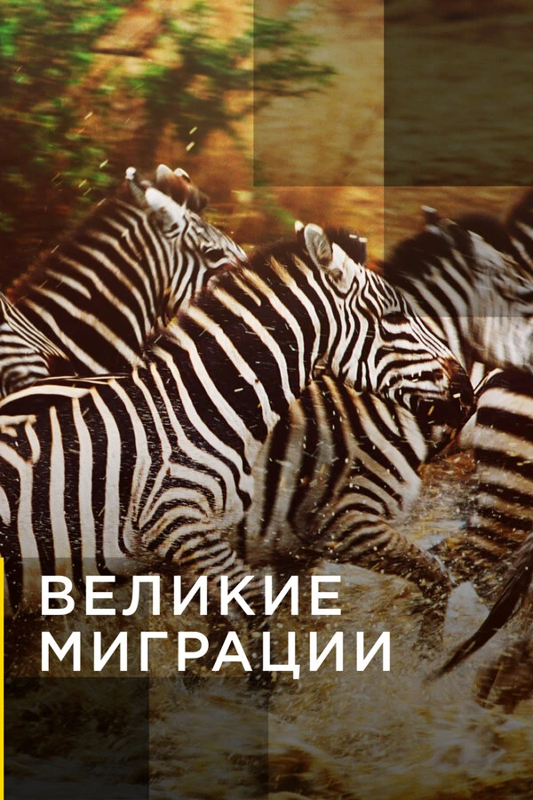 Великие миграции 2010 постер