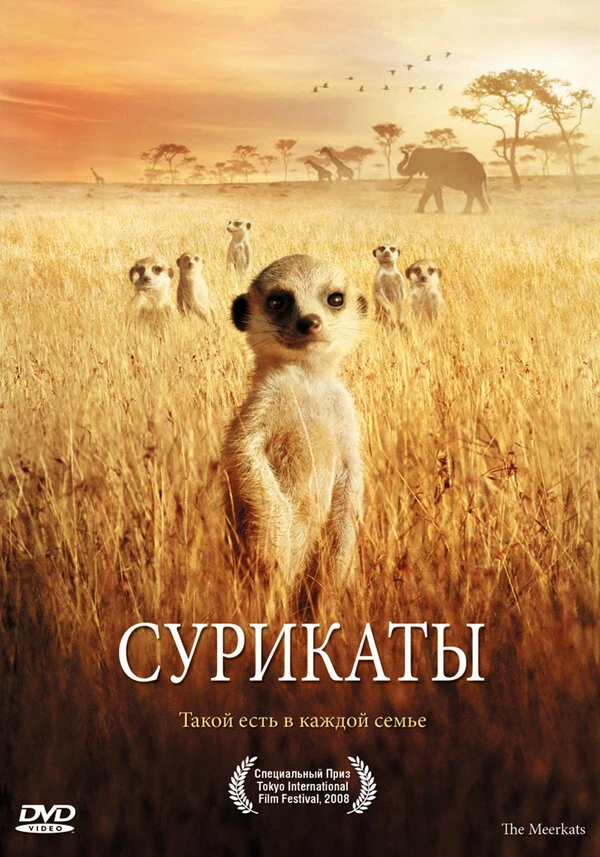 Сурикаты 2007 постер