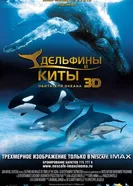 Постер Дельфины и киты 3D 2008