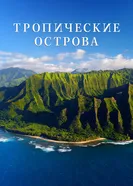 Постер Тропические острова 2020