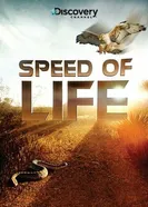 Постер Discovery: Скорость жизни 2010