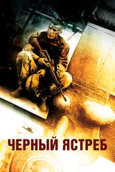 Постер Чёрный ястреб