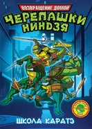 Постер Мутанты черепашки ниндзя. Новые приключения! 2003
