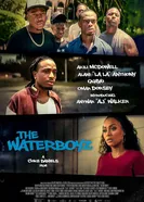 Постер The Waterboyz
