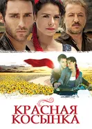 Постер Красная косынка 2011