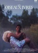Постер Les oiseaux ivres