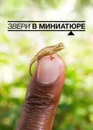 Постер Звери в миниатюре 2017