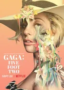 Постер Гага: 155 см 2017