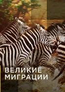 Постер Великие миграции 2010
