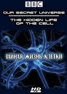 Постер Внутренняя вселенная: Тайная жизнь клетки 2012