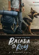 Постер Balada Si Roy