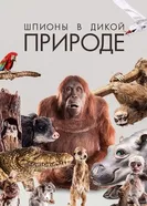Постер Шпионы в дикой природе 2017