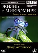 Постер BBC: Жизнь в микромире 2005